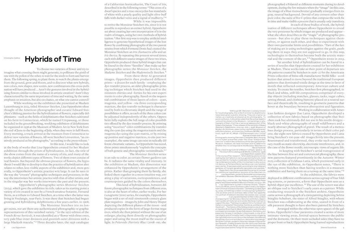 Bild: 9783775760225 | Lisa Oppenheim: The Eternal Substitute | Jacob Proctor | Buch | 228 S.