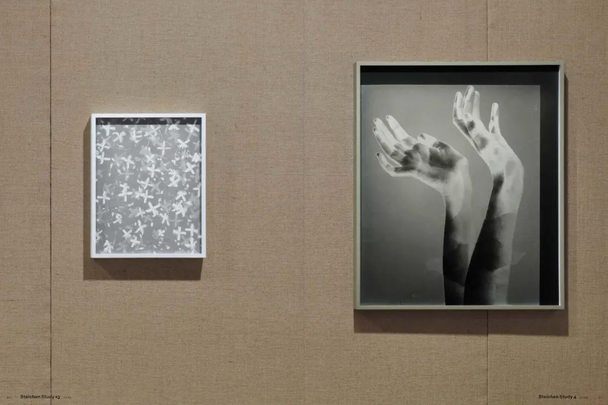 Bild: 9783775760225 | Lisa Oppenheim: The Eternal Substitute | Jacob Proctor | Buch | 228 S.