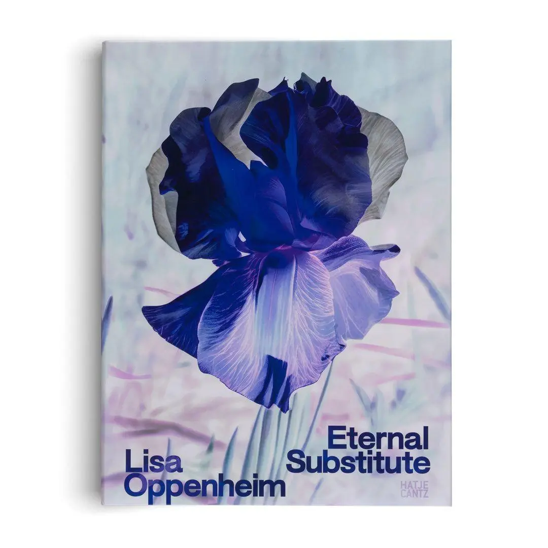 Bild: 9783775760225 | Lisa Oppenheim: The Eternal Substitute | Jacob Proctor | Buch | 228 S.