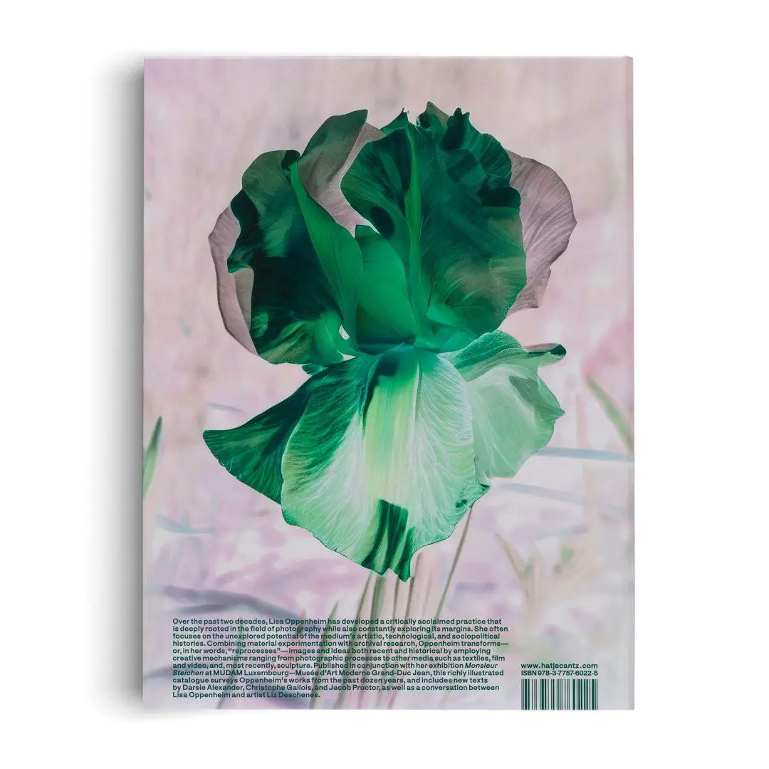 Bild: 9783775760225 | Lisa Oppenheim: The Eternal Substitute | Jacob Proctor | Buch | 228 S.