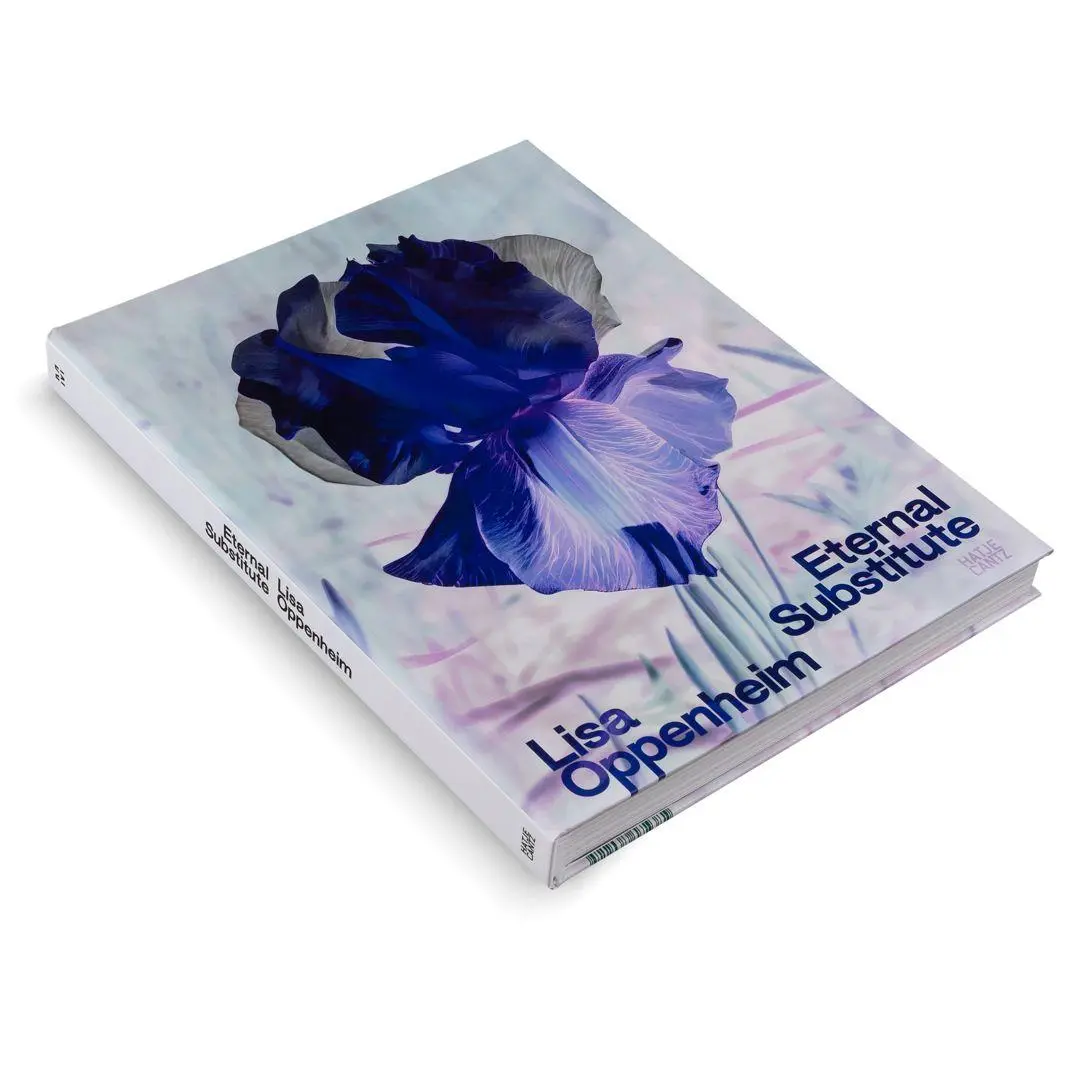 Bild: 9783775760225 | Lisa Oppenheim: The Eternal Substitute | Jacob Proctor | Buch | 228 S.