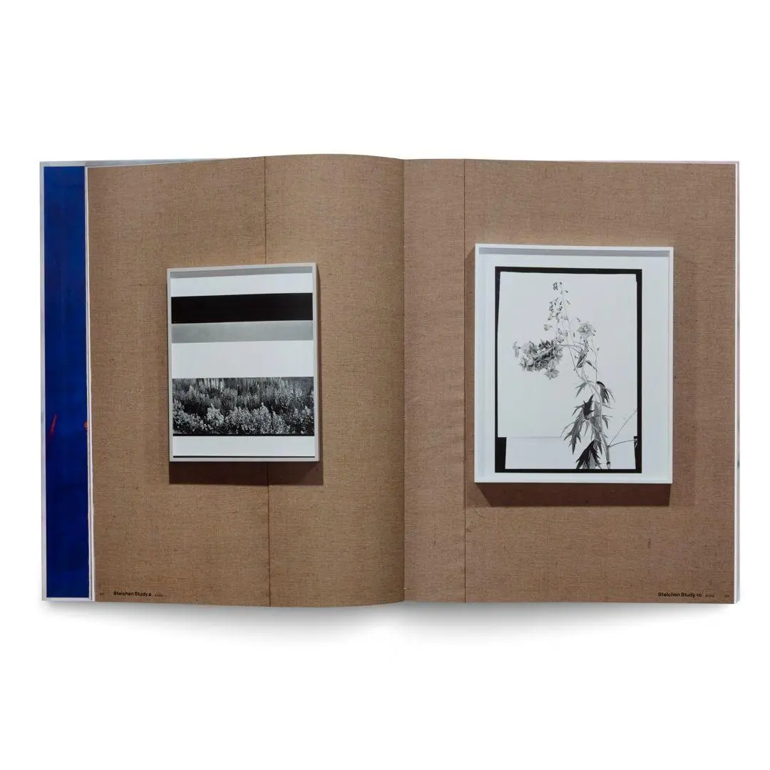 Bild: 9783775760225 | Lisa Oppenheim: The Eternal Substitute | Jacob Proctor | Buch | 228 S.