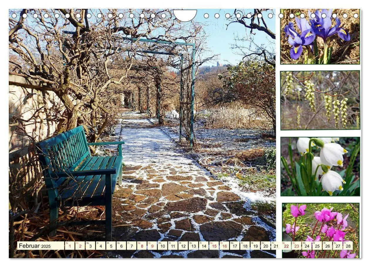 Bild: 9783435250325 | Im Hermannshof - Ein Traumgarten in Weinheim (Wandkalender 2025 DIN...