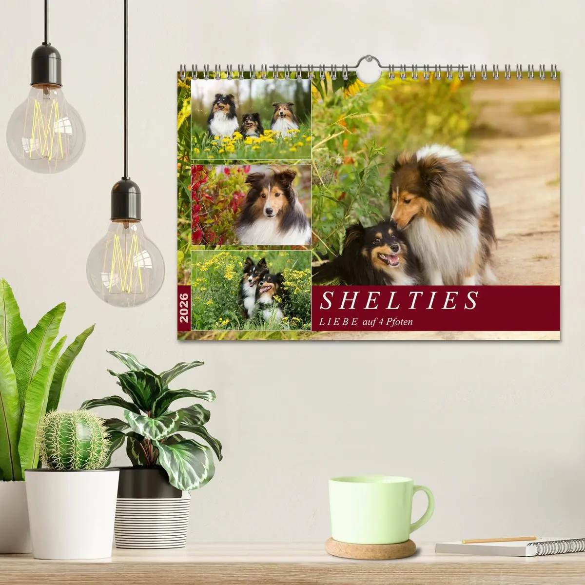 Bild: 9783457890325 | SHELTIES Liebe auf 4 Pfoten (Wandkalender 2026 DIN A4 quer),...
