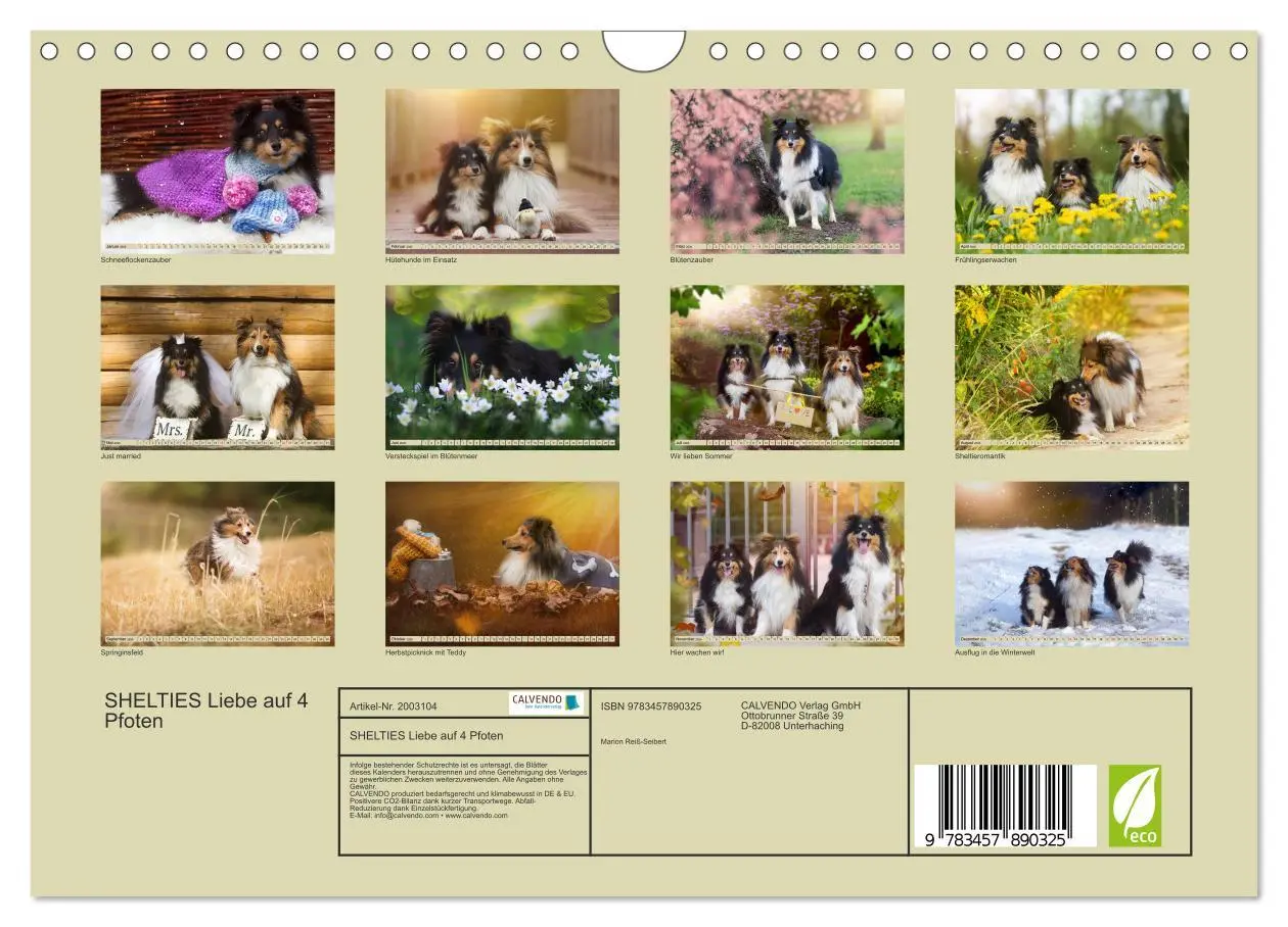 Bild: 9783457890325 | SHELTIES Liebe auf 4 Pfoten (Wandkalender 2026 DIN A4 quer),...