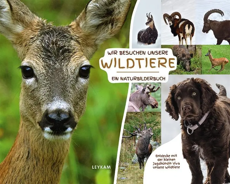 Cover: 9783701180325 | Wir besuchen unsere Wildtiere - Ein Naturbilderbuch | Flick | Buch