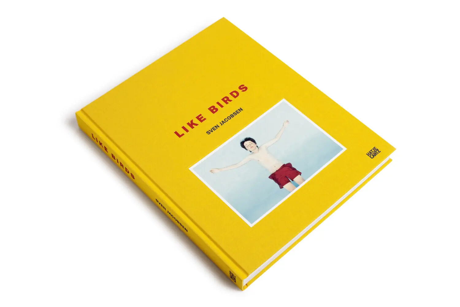 Bild: 9783775750325 | Sven Jacobsen | Like Birds | Nadine Barth | Buch | 208 S. | Deutsch