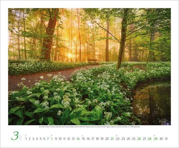 Bild: 9783819300325 | Augenblicke der Stille 2027 | Verlag Korsch | Kalender | Spiralbindung