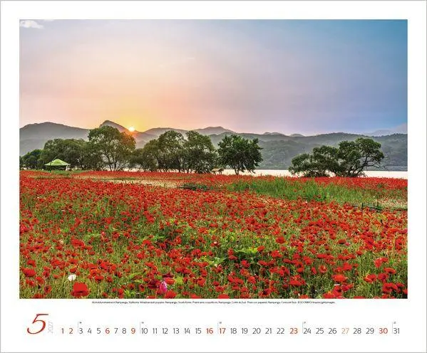 Bild: 9783819300325 | Augenblicke der Stille 2027 | Verlag Korsch | Kalender | Spiralbindung
