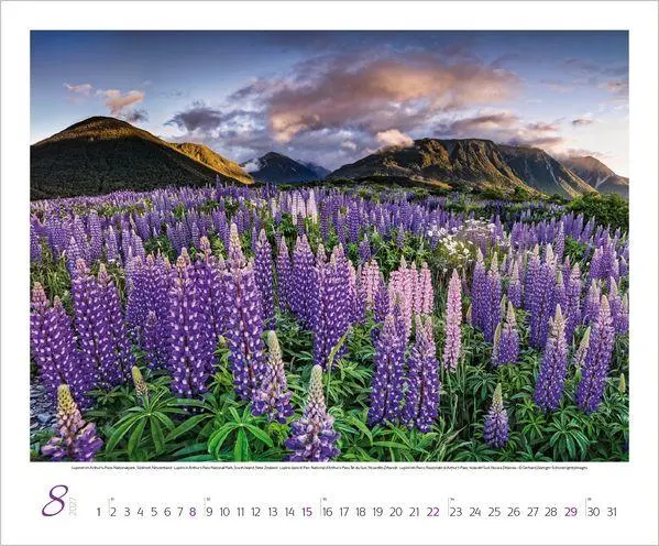 Bild: 9783819300325 | Augenblicke der Stille 2027 | Verlag Korsch | Kalender | Spiralbindung