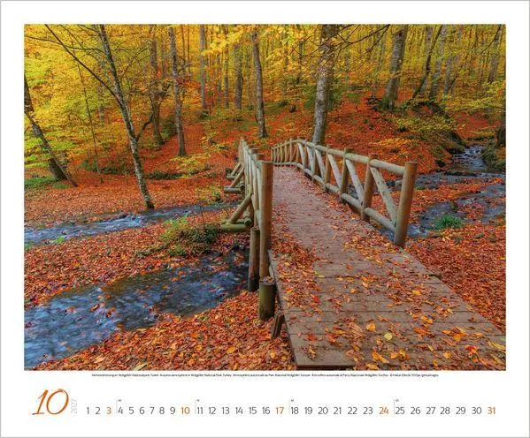 Bild: 9783819300325 | Augenblicke der Stille 2027 | Verlag Korsch | Kalender | Spiralbindung