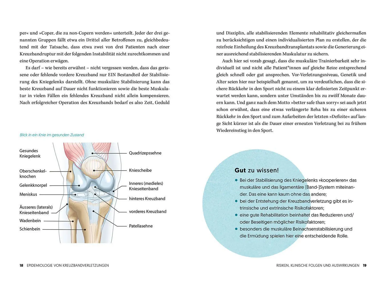 Bild: 9783968590325 | Wieder fit nach dem Kreuzbandriss | Raymond Best | Taschenbuch | 2022