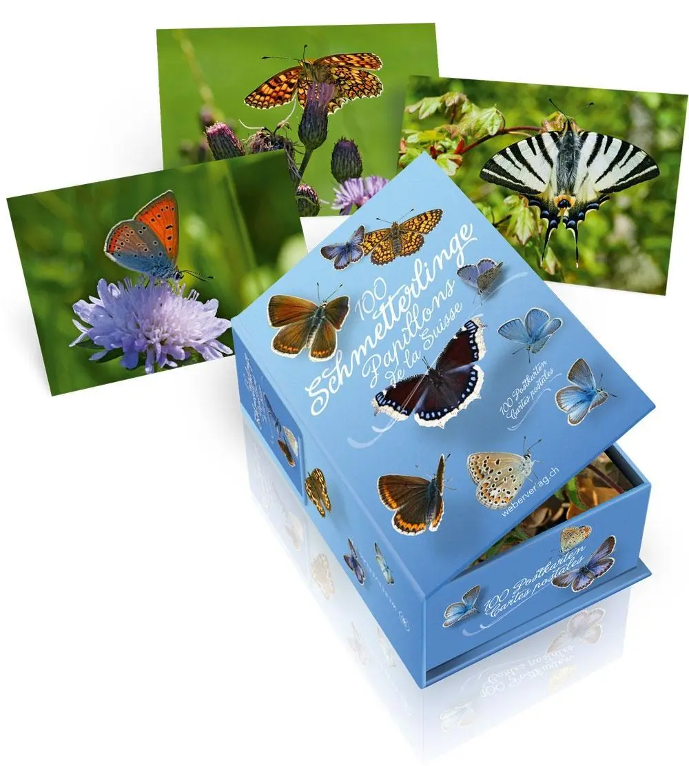 Cover: 9783038180425 | 100 Schmetterlinge der Schweiz - Postkartenbox | Wymann (u. a.) | Box