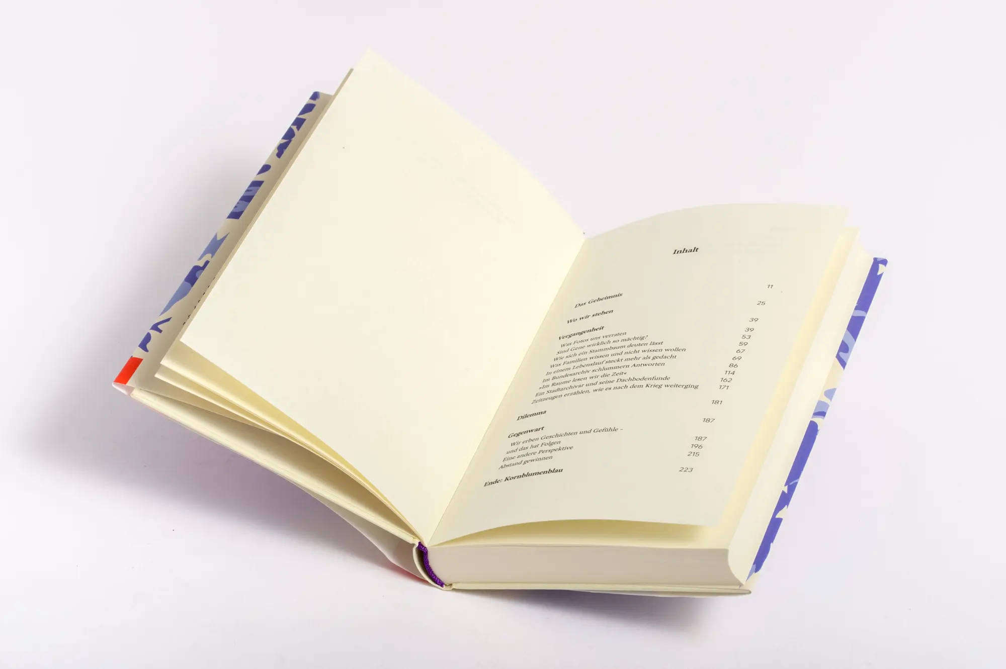 Bild: 9783421070425 | Kornblumenblau | Susanne Beyer | Buch | 240 S. | Deutsch | 2025 | DVA