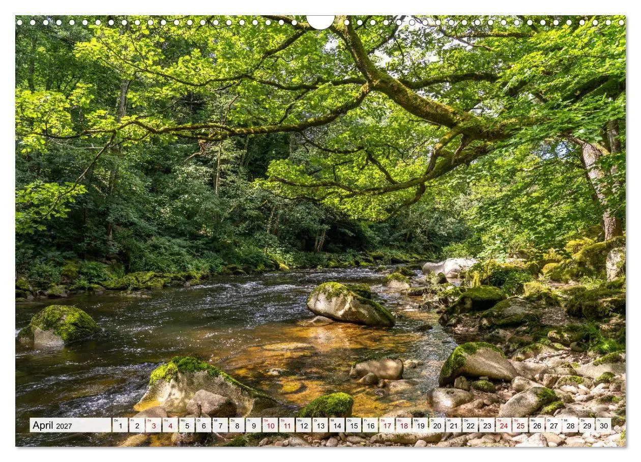 Bild: 9783569680425 | Urlaubsregion Schwarzwald (Wandkalender 2027 DIN A3 quer), CALVENDO...
