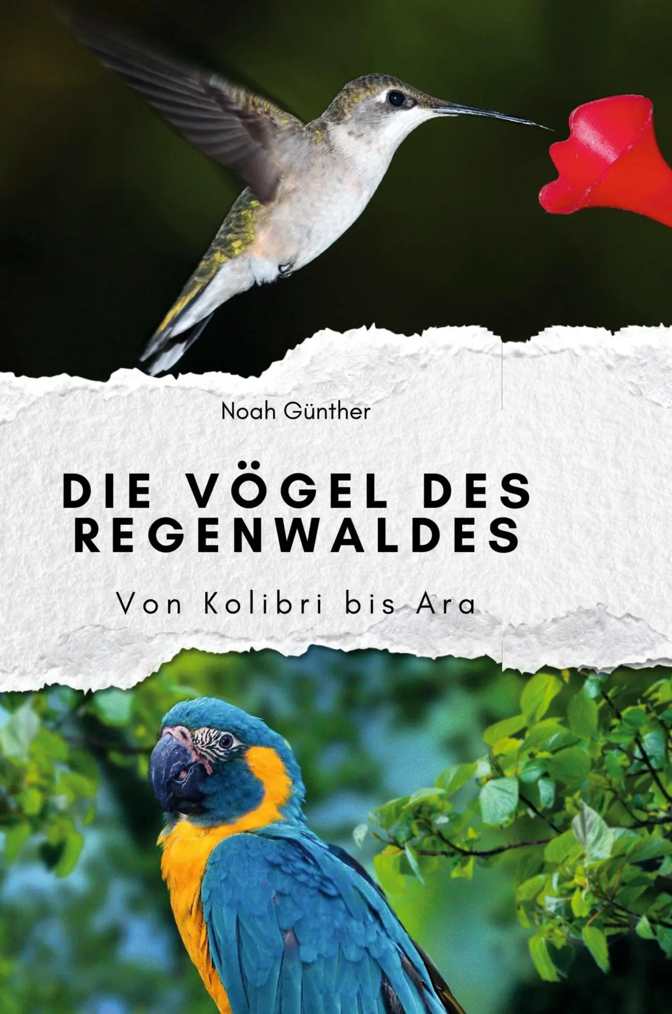 Cover: 9783759140425 | Die Vögel des Regenwaldes | Von Kolibri bis Ara | Noah Günther | Buch