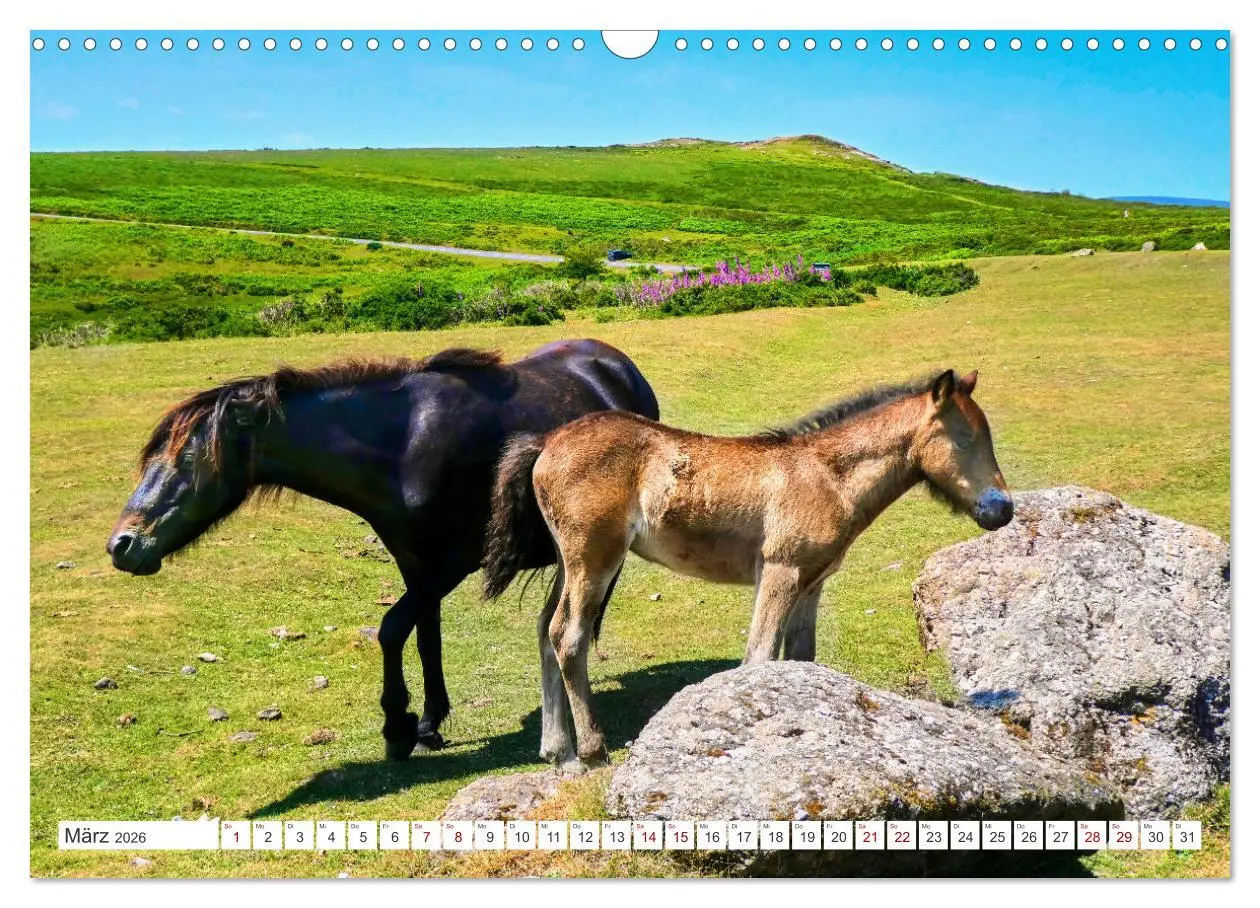 Bild: 9783457490525 | Südengland - On the road in Devon und Cornwall (Wandkalender 2026...