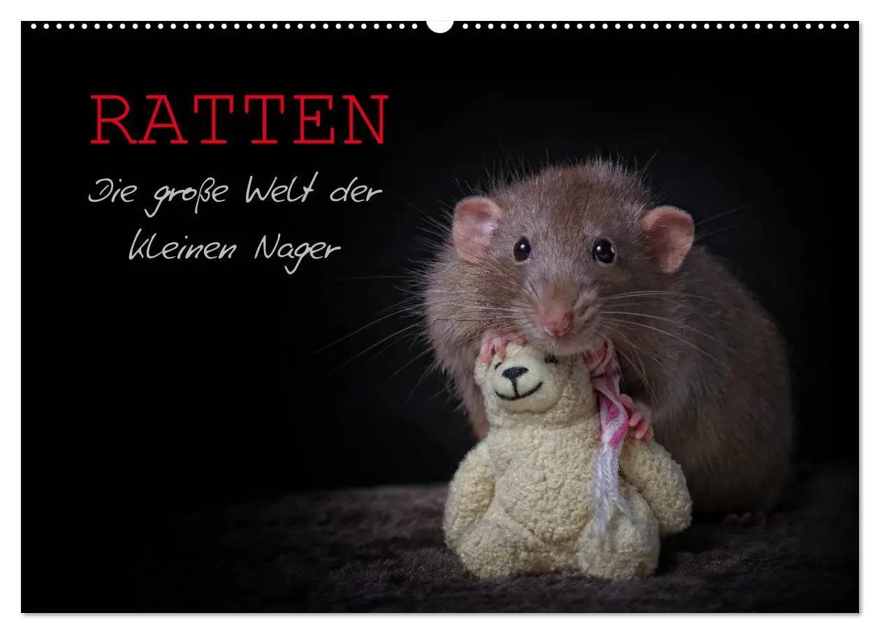 Cover: 9783516030525 | Ratten. Die große Welt der kleinen Nager (Wandkalender 2026 DIN A2...