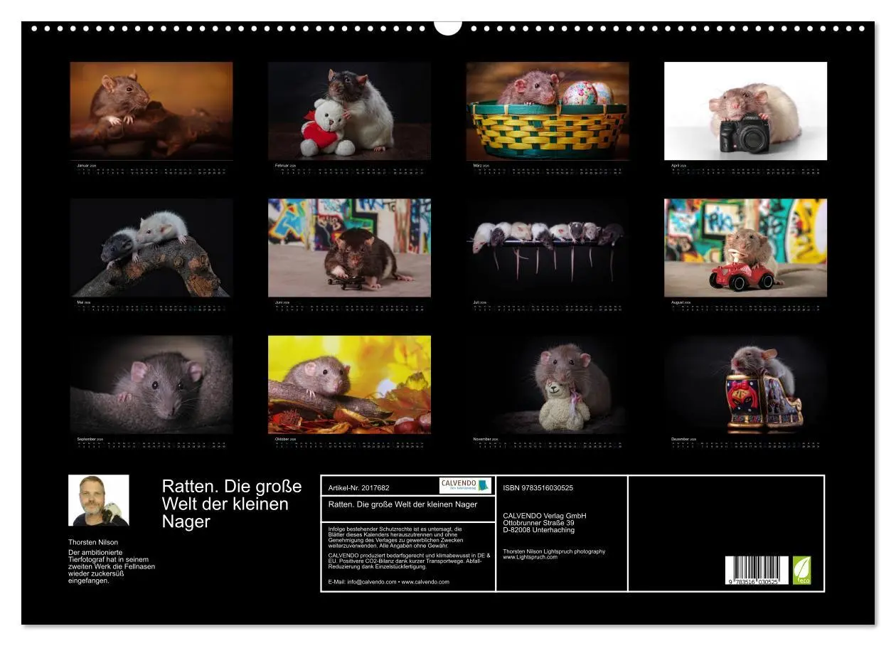 Bild: 9783516030525 | Ratten. Die große Welt der kleinen Nager (Wandkalender 2026 DIN A2...