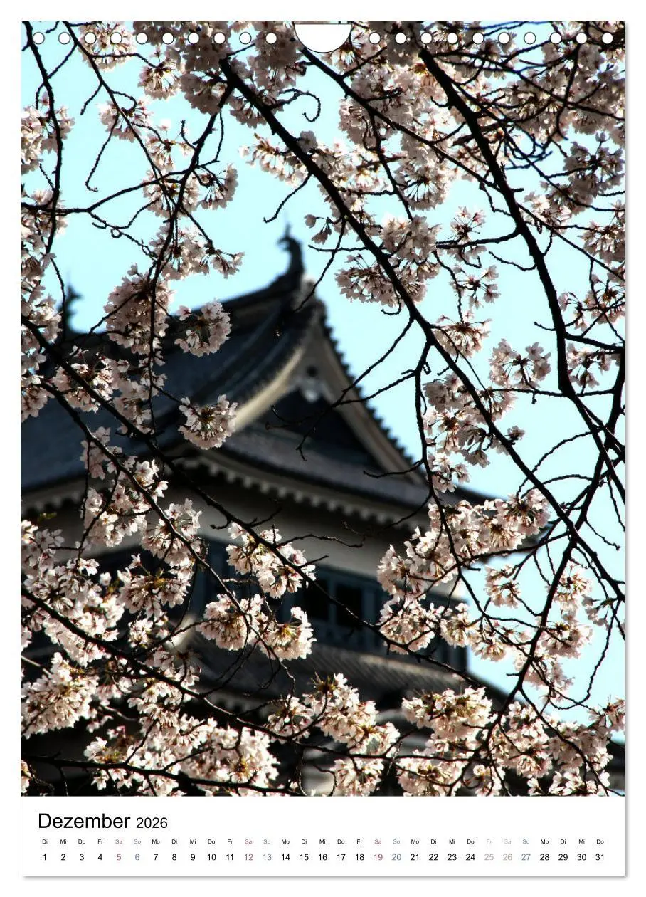 Bild: 9783516410525 | Japan - Kirschblüten (Wandkalender 2026 DIN A4 hoch), CALVENDO...