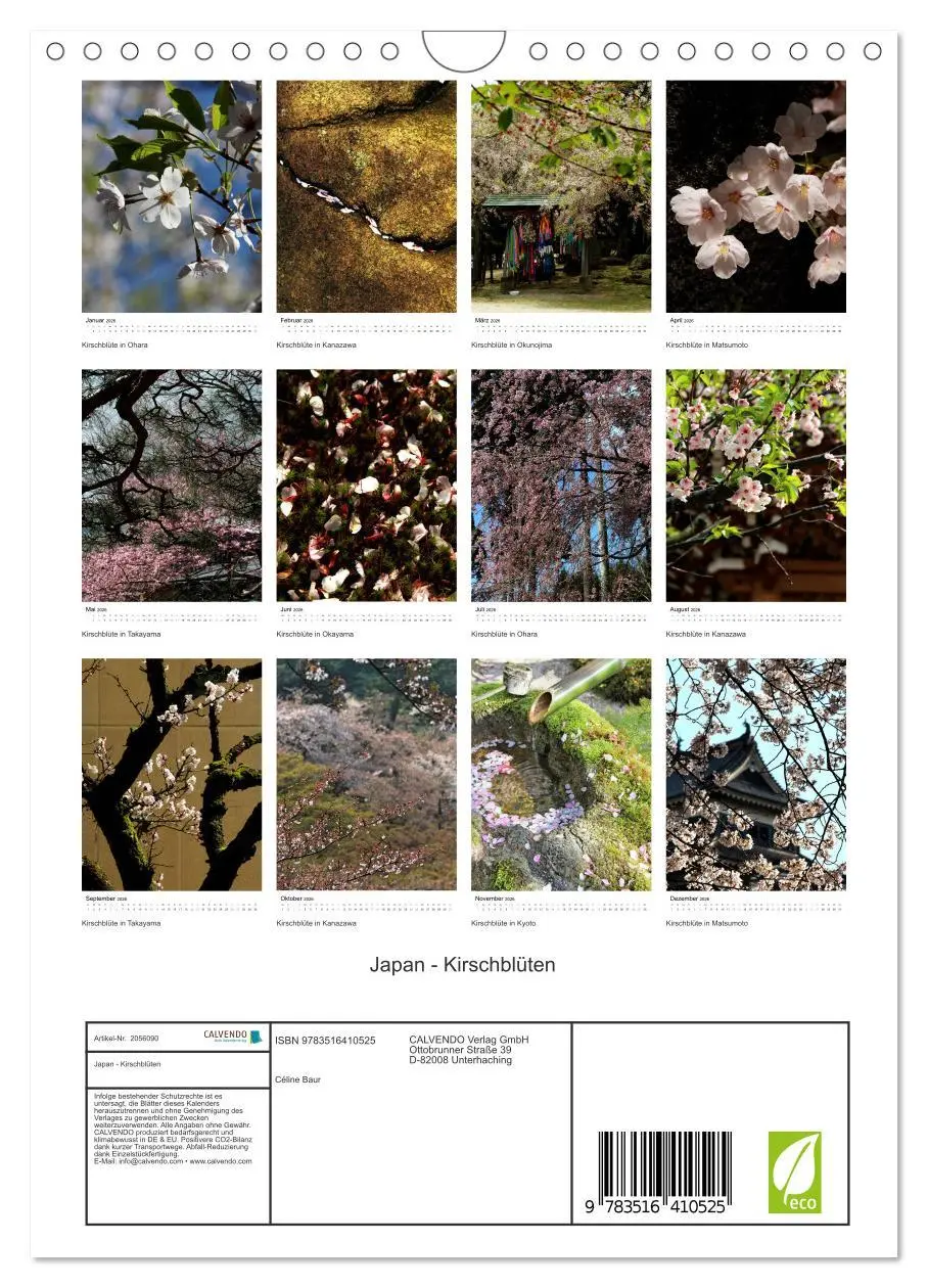 Bild: 9783516410525 | Japan - Kirschblüten (Wandkalender 2026 DIN A4 hoch), CALVENDO...
