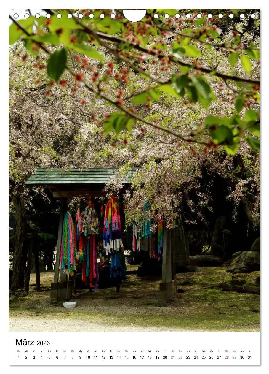 Bild: 9783516410525 | Japan - Kirschblüten (Wandkalender 2026 DIN A4 hoch), CALVENDO...