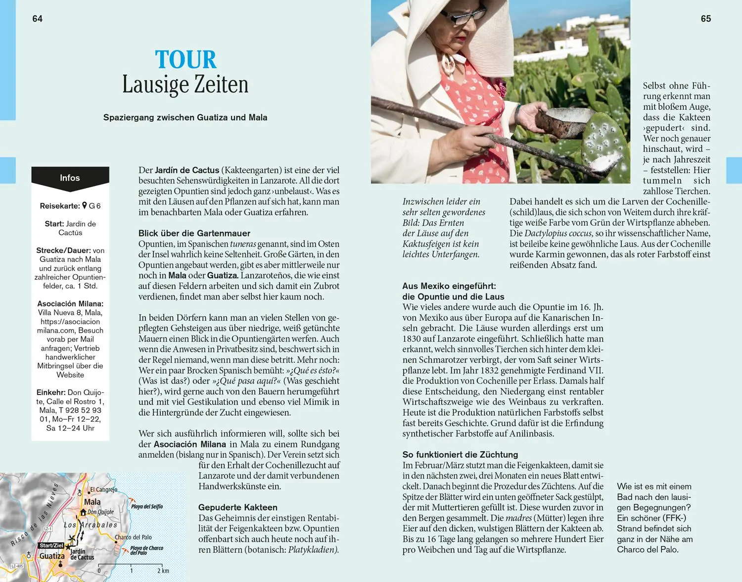 Bild: 9783616020525 | DUMONT Reise-Taschenbuch Reiseführer Lanzarote | Verónica Reisenegger