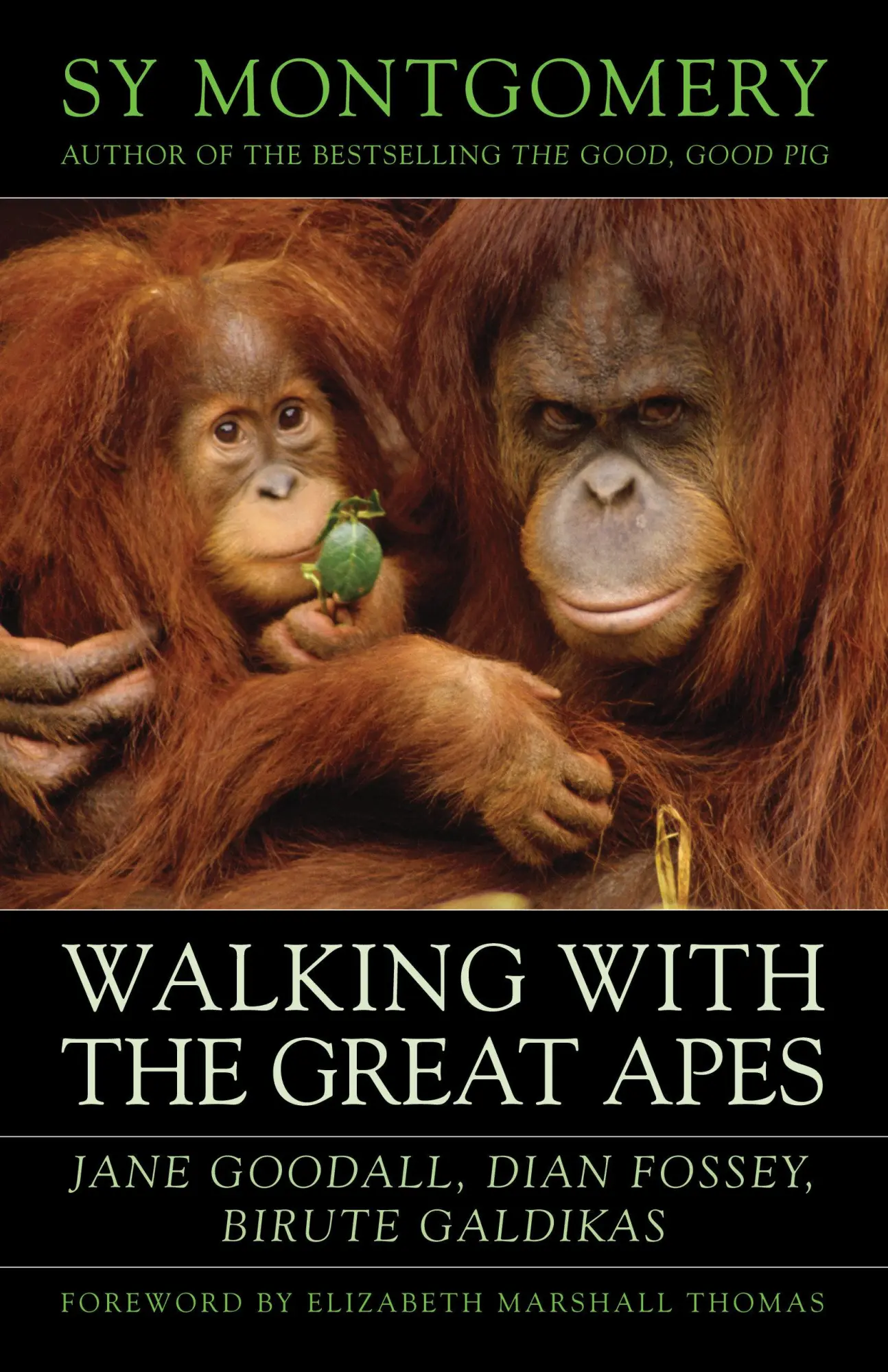 Cover: 9781603580625 | Walking with the Great Apes | Sy Montgomery | Taschenbuch | Englisch