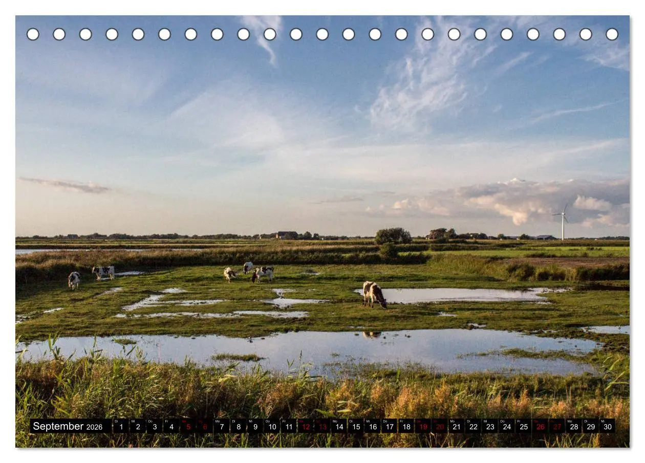 Bild: 9783457850725 | Nordseeinsel Pellworm 2026 (Tischkalender 2026 DIN A5 quer),...