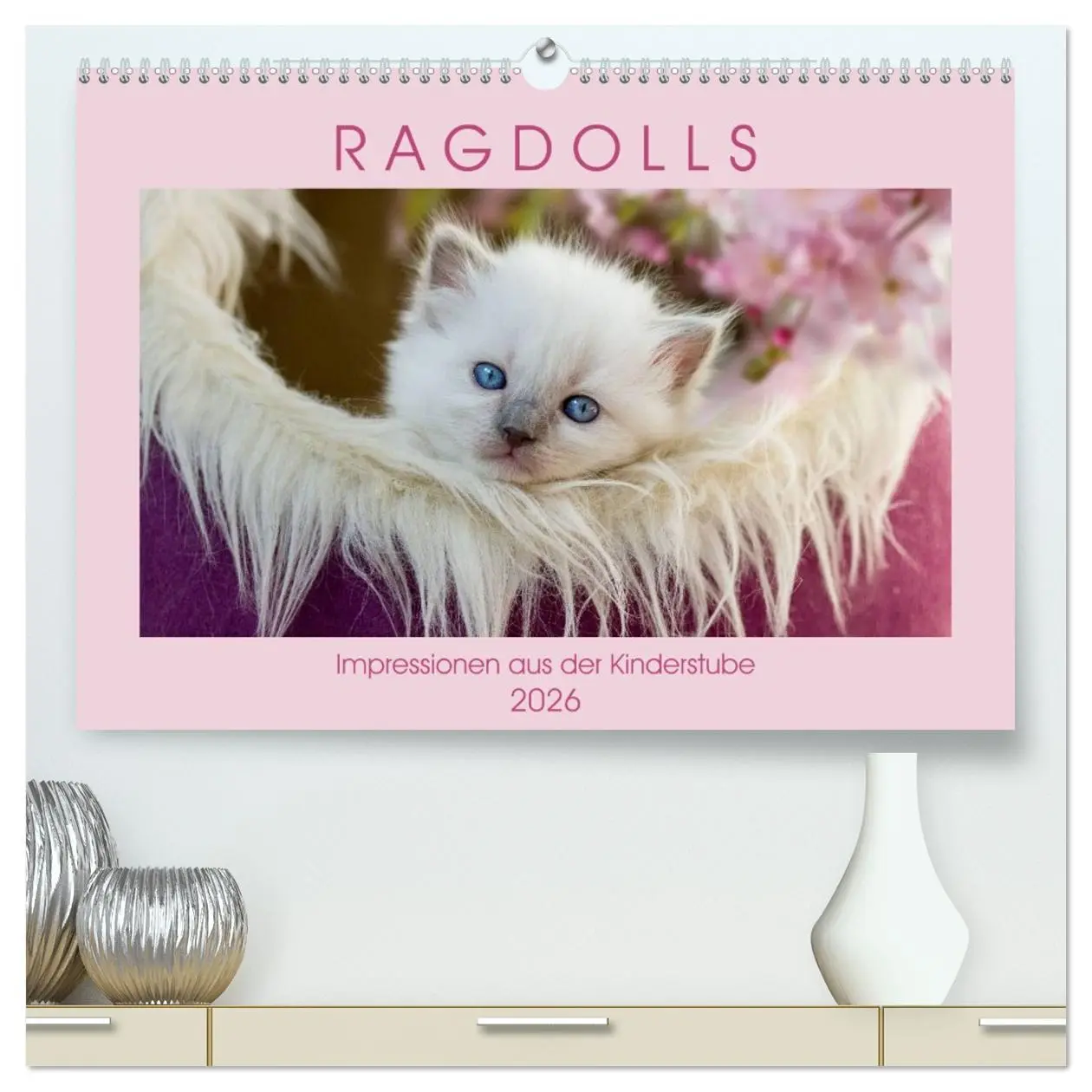 Cover: 9783457770825 | RAGDOLLS Impressionen aus der Kinderstube (hochwertiger Premium...