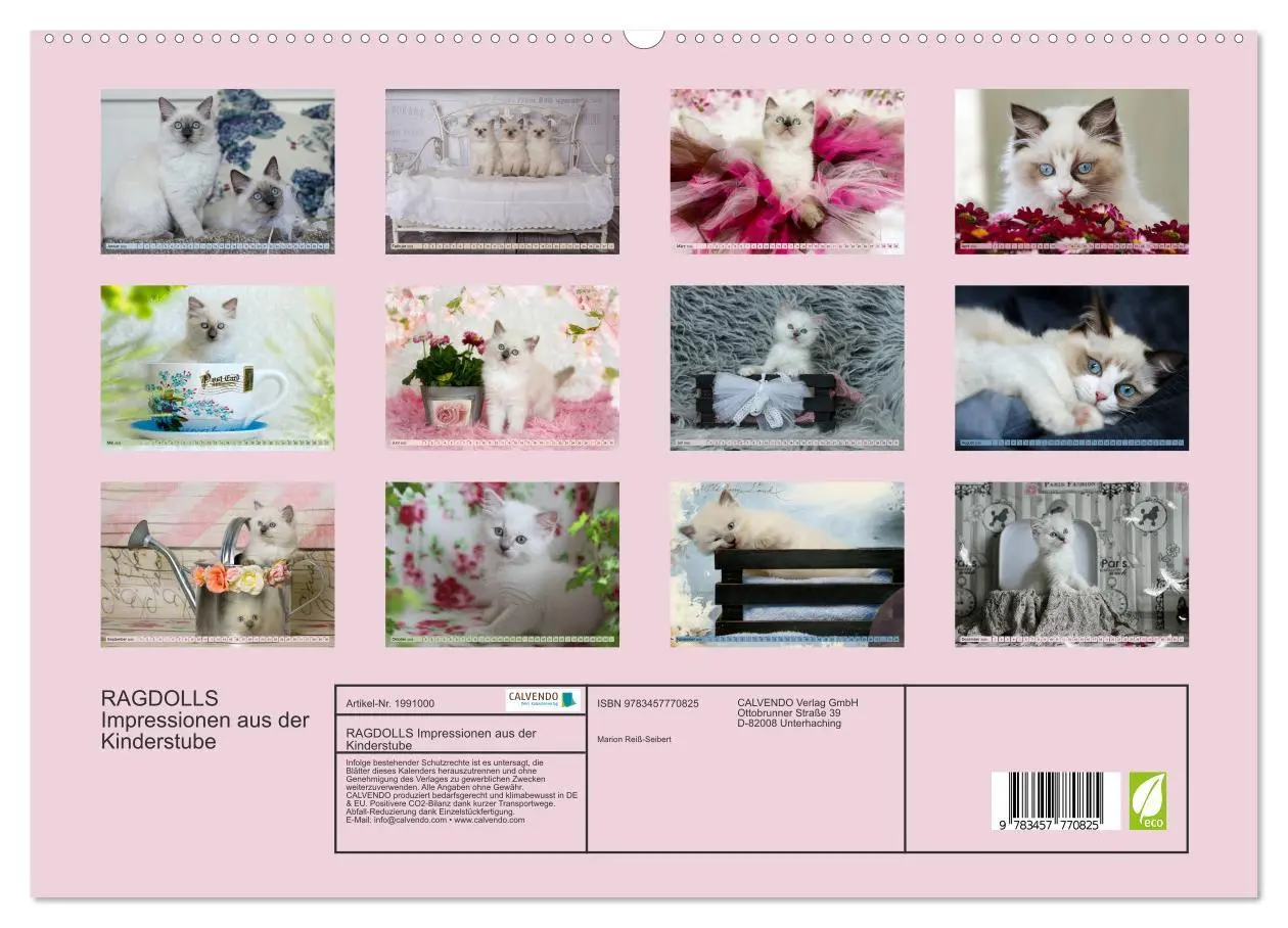 Bild: 9783457770825 | RAGDOLLS Impressionen aus der Kinderstube (hochwertiger Premium...