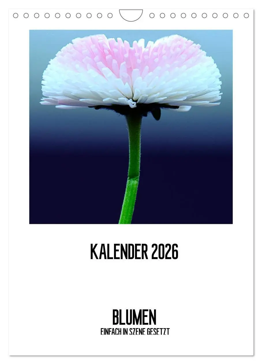 Cover: 9783516480825 | BLUMEN EINFACH IN SZENE GESETZT (Wandkalender 2026 DIN A4 hoch),...