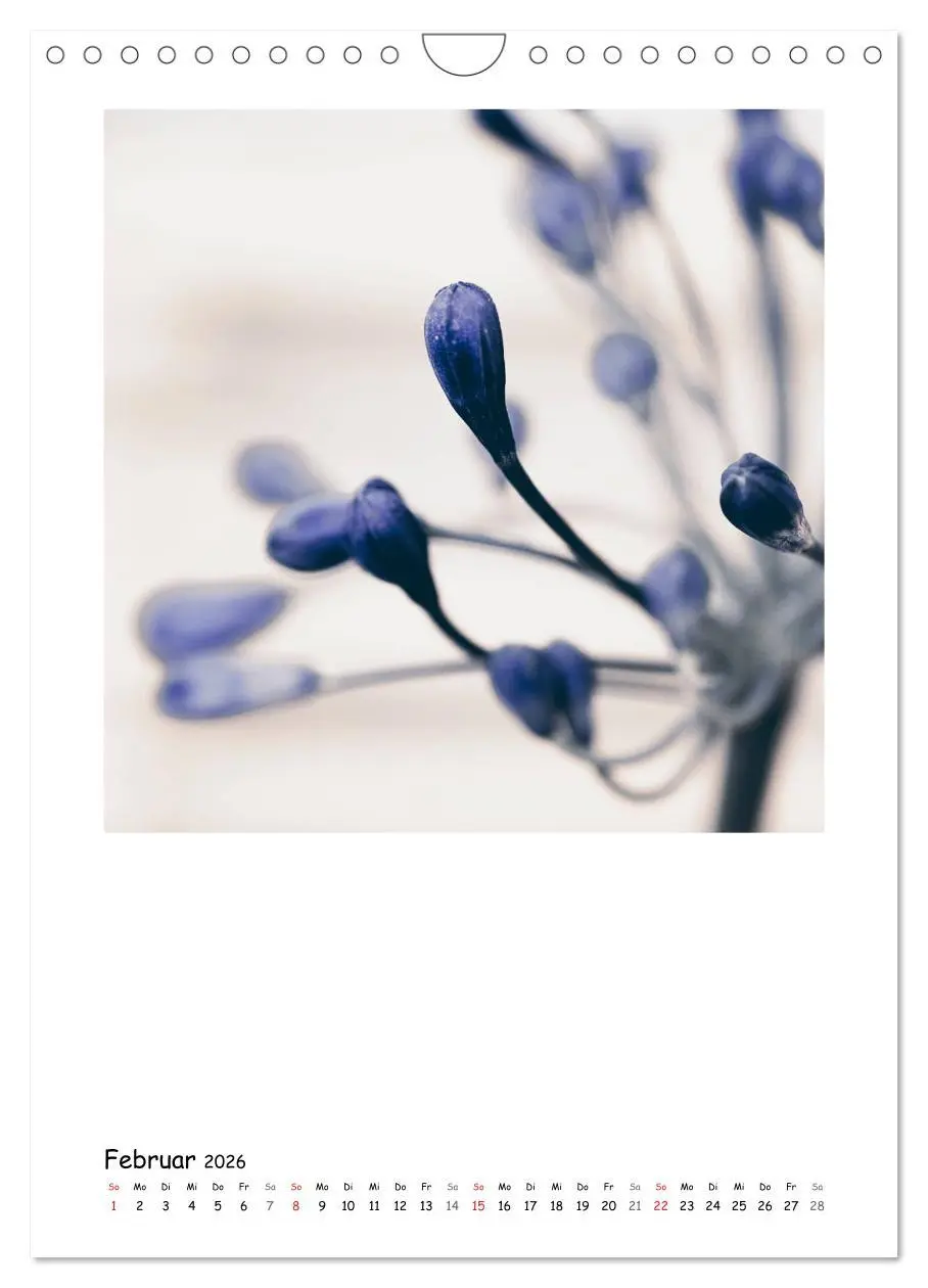 Bild: 9783516480825 | BLUMEN EINFACH IN SZENE GESETZT (Wandkalender 2026 DIN A4 hoch),...