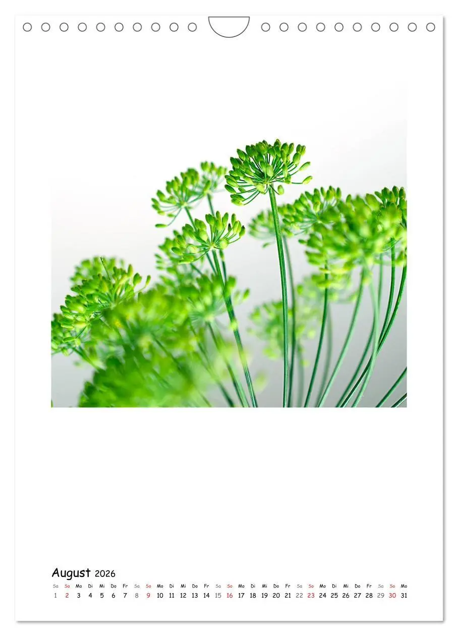 Bild: 9783516480825 | BLUMEN EINFACH IN SZENE GESETZT (Wandkalender 2026 DIN A4 hoch),...