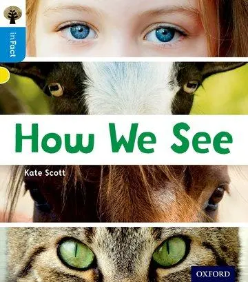 Cover: 9780198370925 | Oxford Reading Tree inFact: Oxford Level 3: How We See | Kate Scott