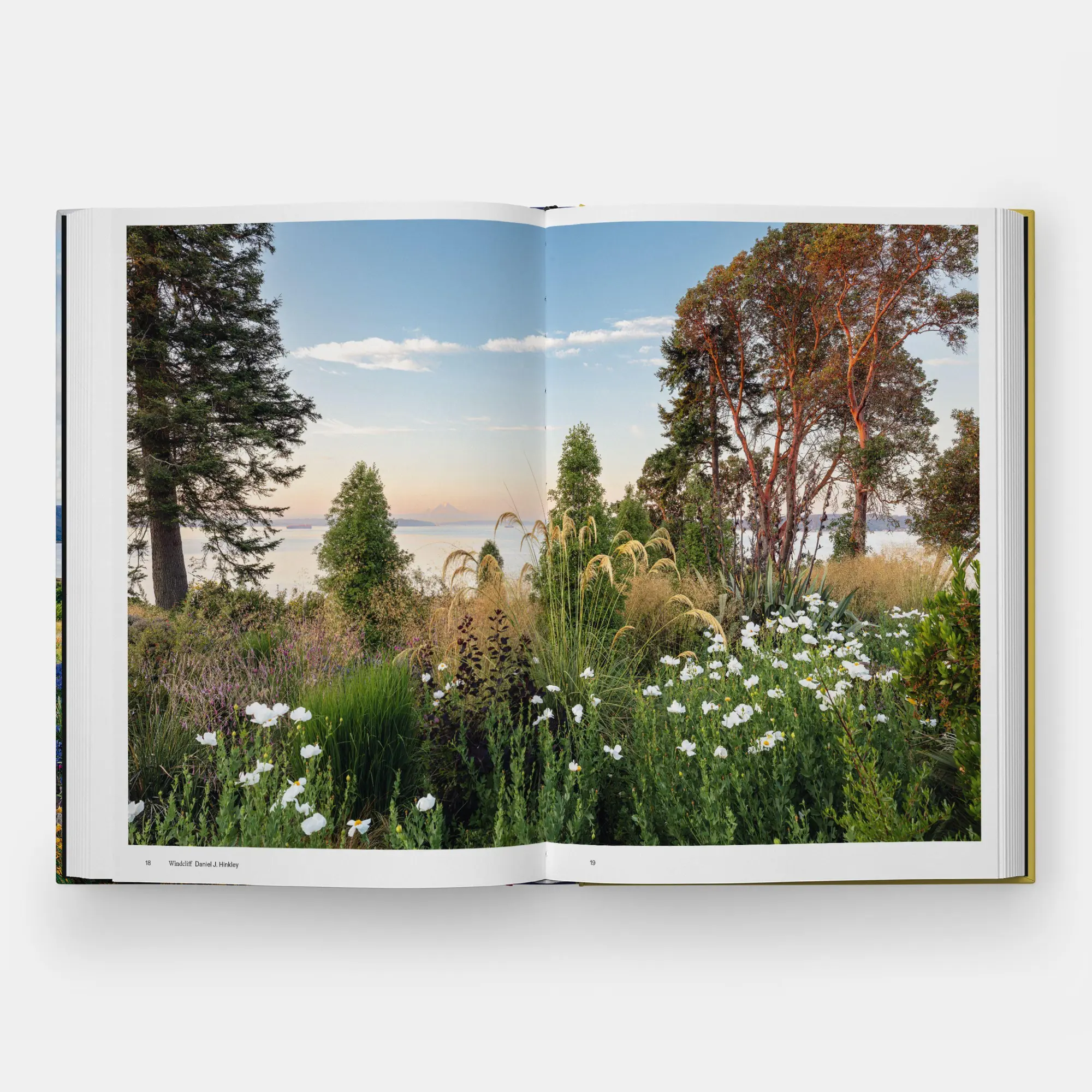 Bild: 9781837290925 | The Coastal Garden | Editors Phaidon | Buch | 264 S. | Englisch | 2026