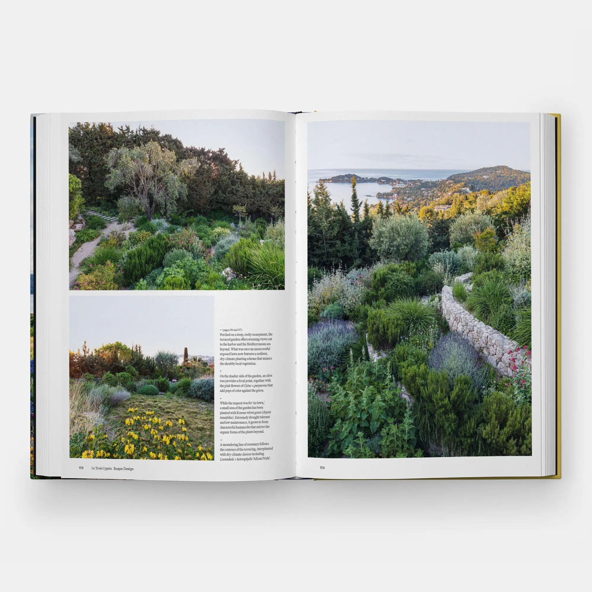 Bild: 9781837290925 | The Coastal Garden | Editors Phaidon | Buch | 264 S. | Englisch | 2026