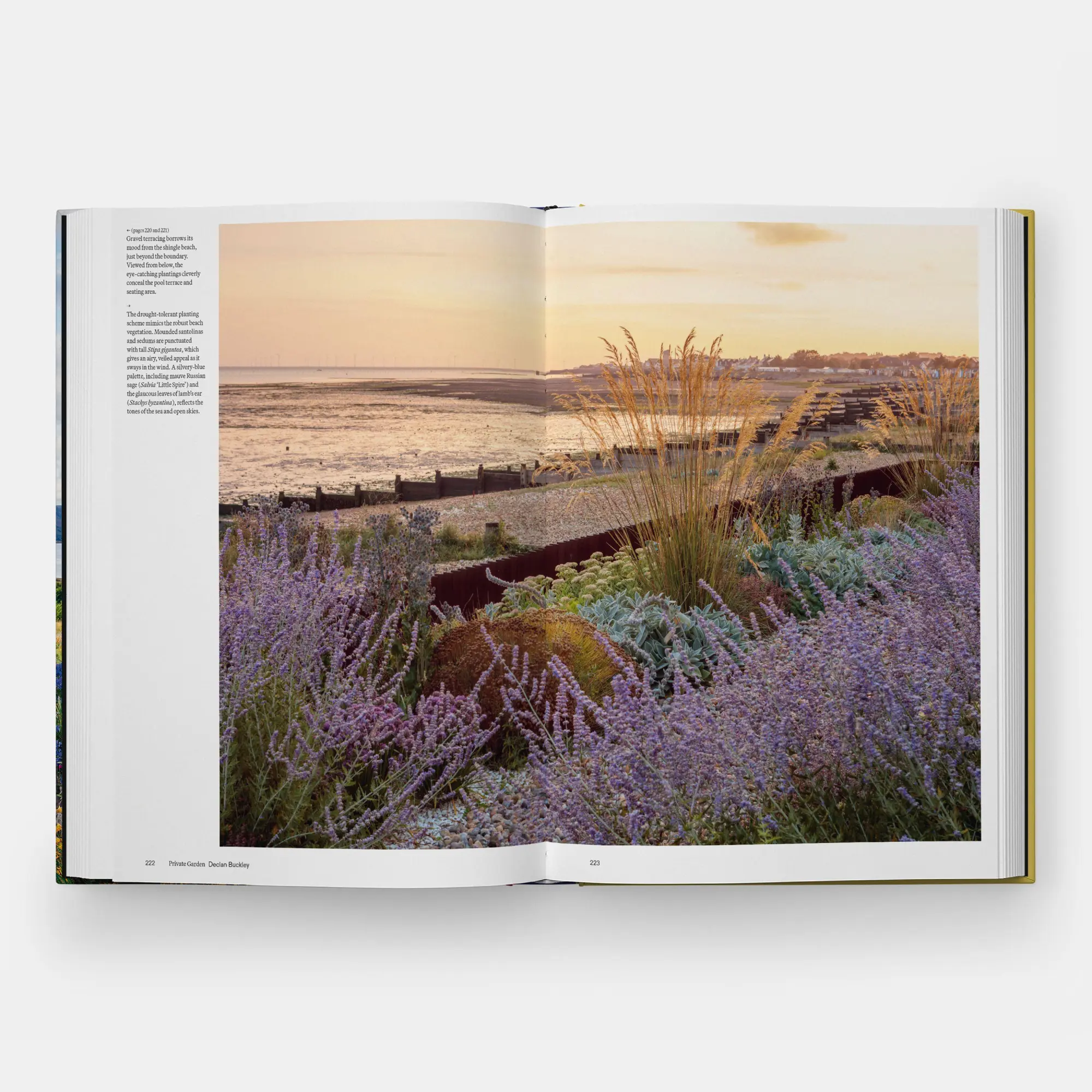 Bild: 9781837290925 | The Coastal Garden | Editors Phaidon | Buch | 264 S. | Englisch | 2026