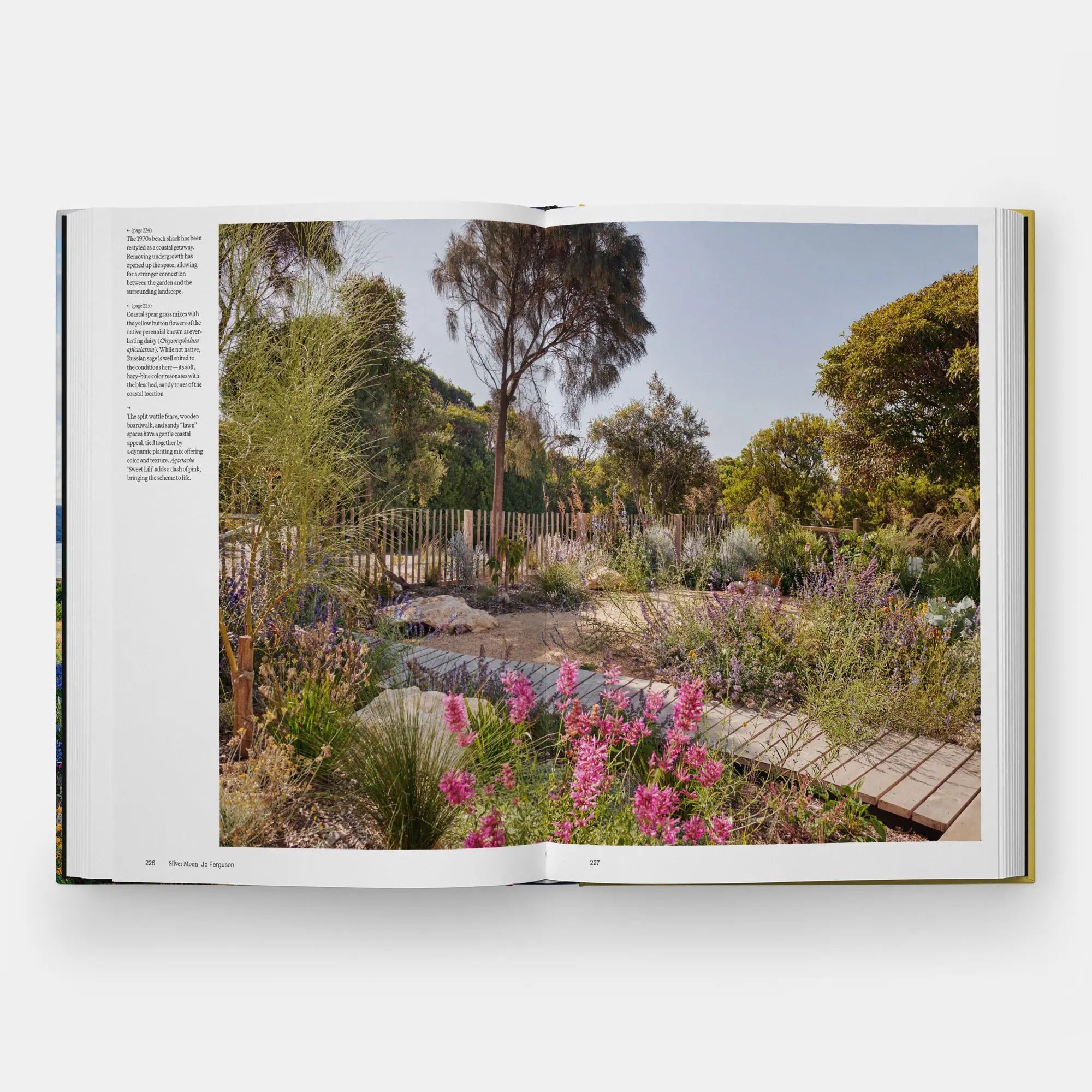 Bild: 9781837290925 | The Coastal Garden | Editors Phaidon | Buch | 264 S. | Englisch | 2026