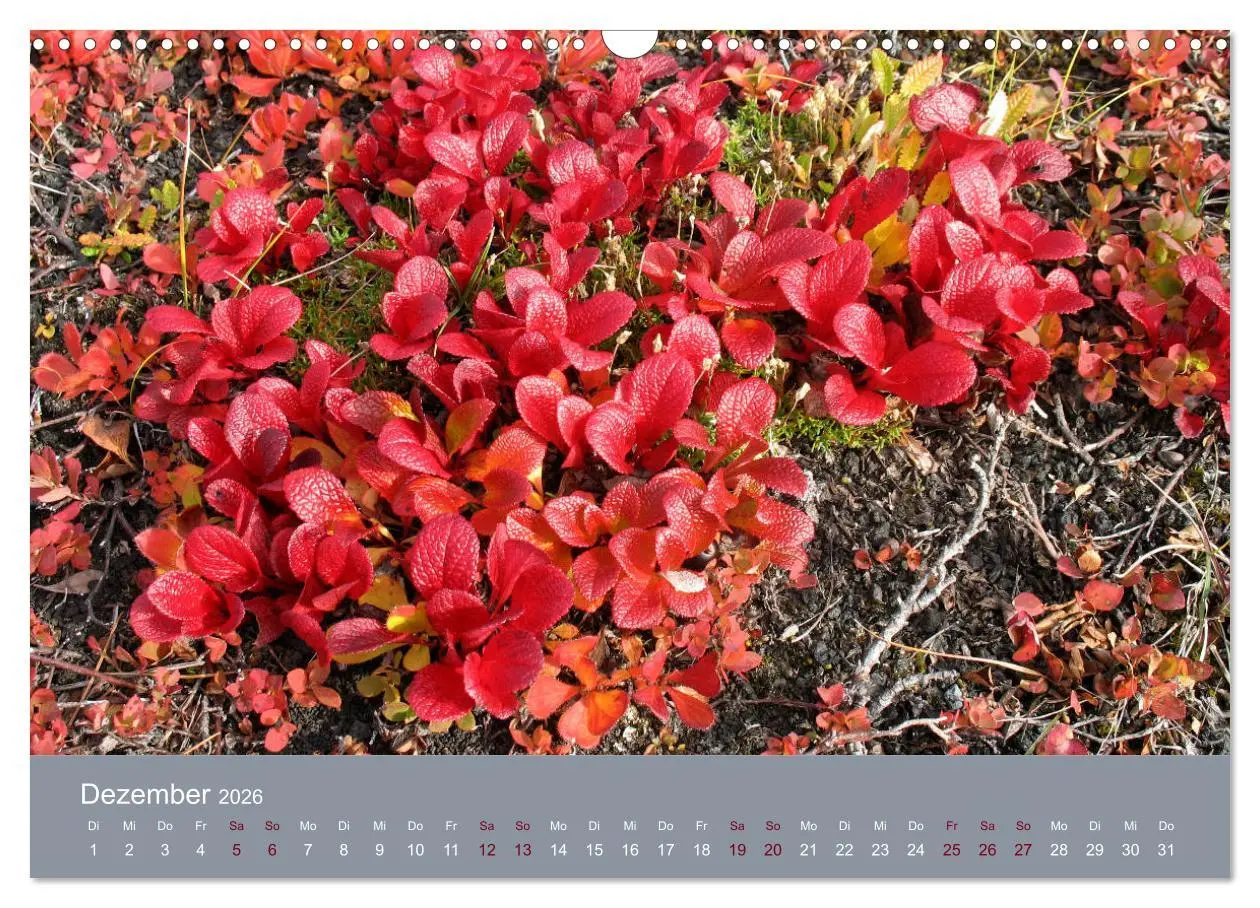 Bild: 9783457900925 | Kamtschatka - Vulkane, Asche, Eis (Wandkalender 2026 DIN A3 quer),...