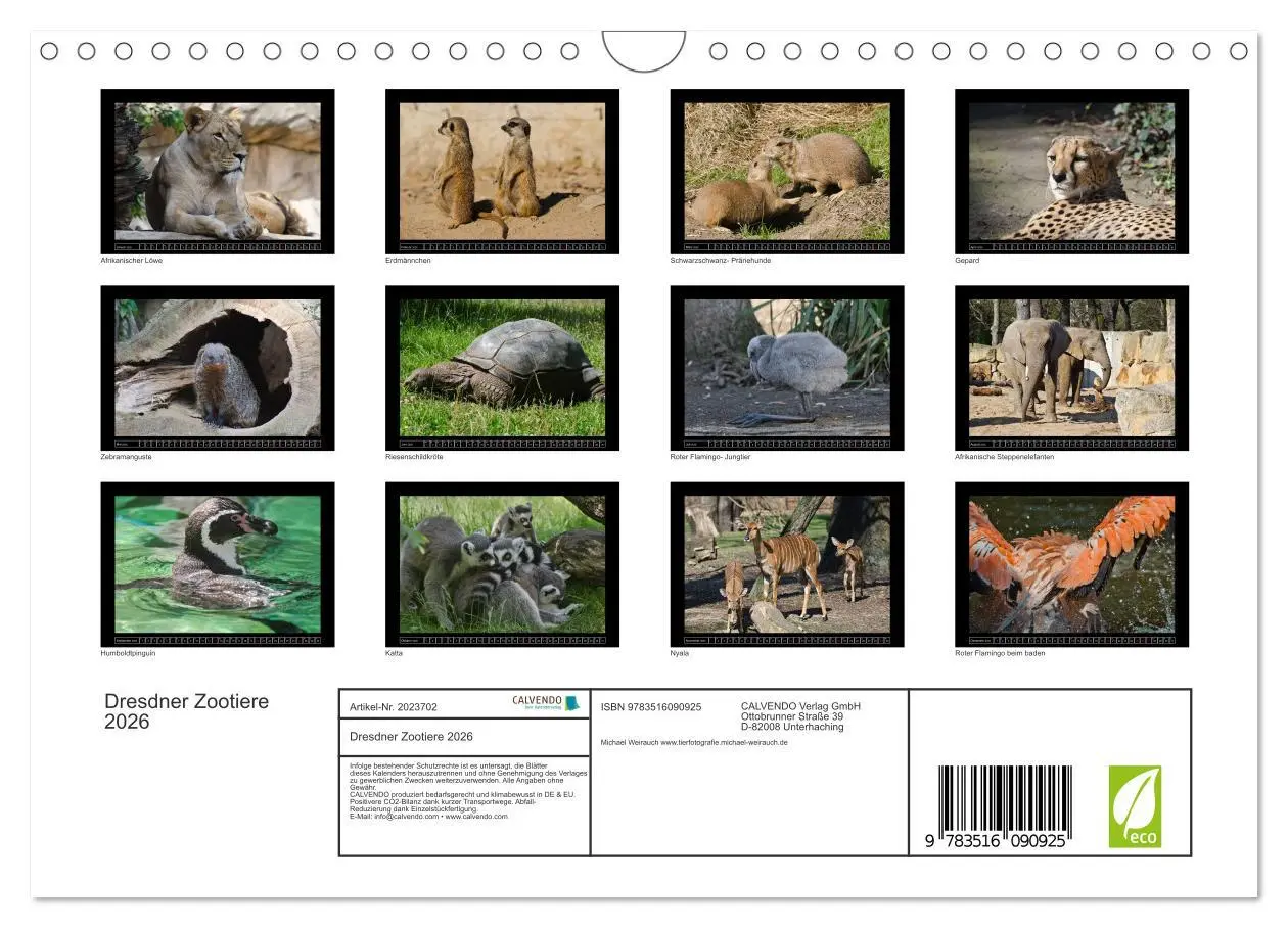 Bild: 9783516090925 | Dresdner Zootiere 2026 (Wandkalender 2026 DIN A4 quer), CALVENDO...