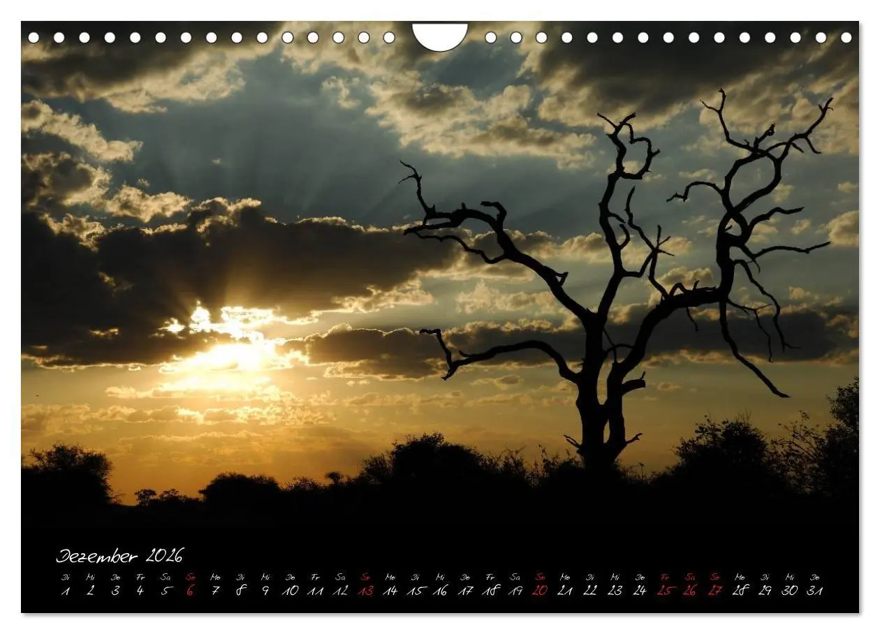 Bild: 9783516230925 | Südafrika (Wandkalender 2026 DIN A4 quer), CALVENDO Monatskalender