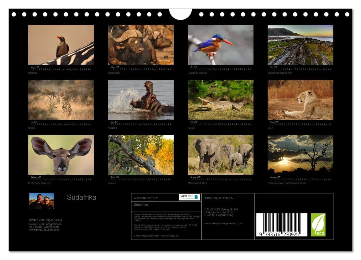 Bild: 9783516230925 | Südafrika (Wandkalender 2026 DIN A4 quer), CALVENDO Monatskalender