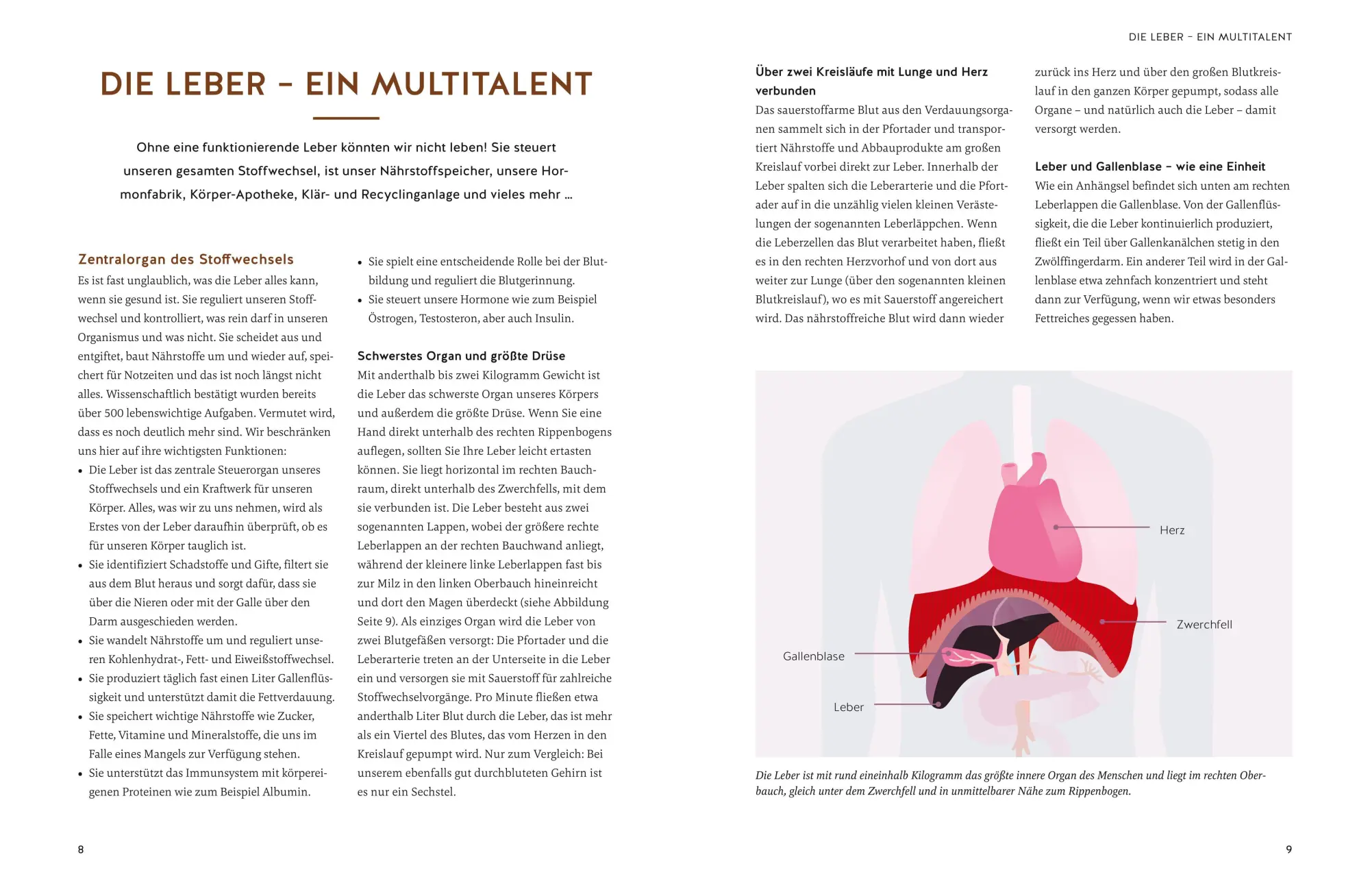 Bild: 9783833890925 | Die revolutionäre 9-Tage-Leber-Kur | Kurt Mosetter (u. a.) | Buch