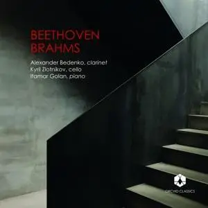 BEETHOVEN/BRAHMS: Trios