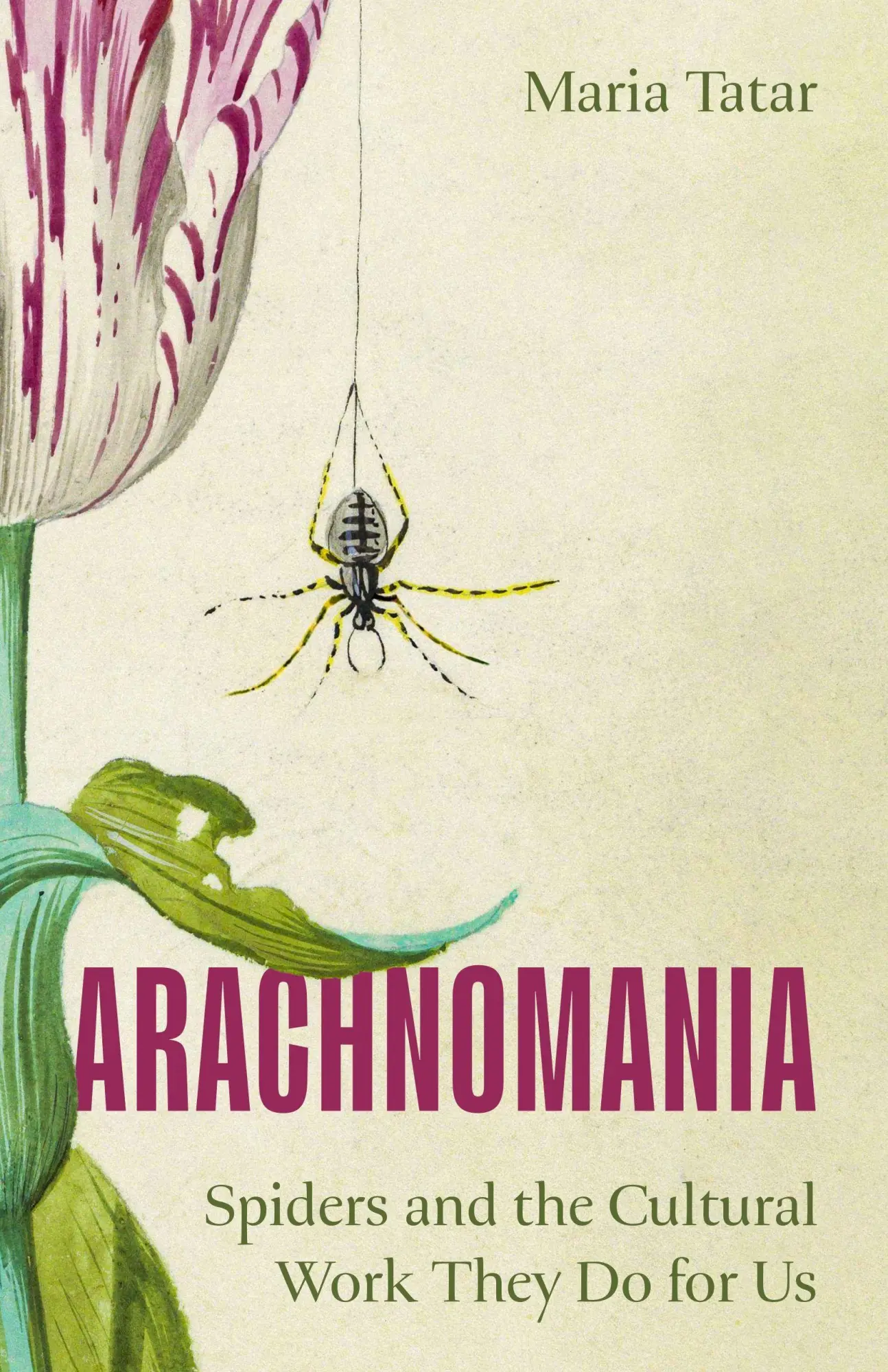 Cover: 9780691281025 | Arachnomania | Spiders and the Cultural Work They Do for Us | Tatar