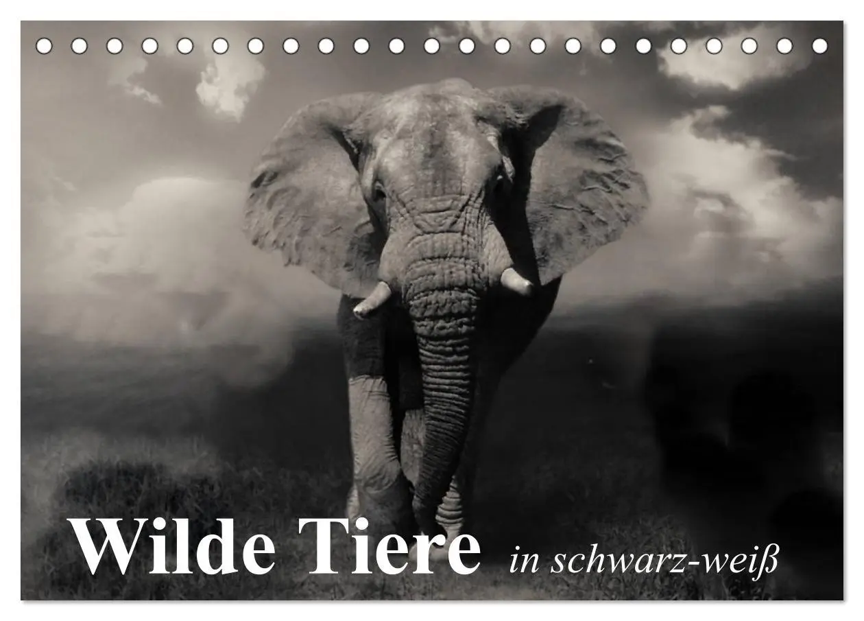 Cover: 9783516051025 | Wilde Tiere in schwarz-weiß (Tischkalender 2026 DIN A5 quer),...