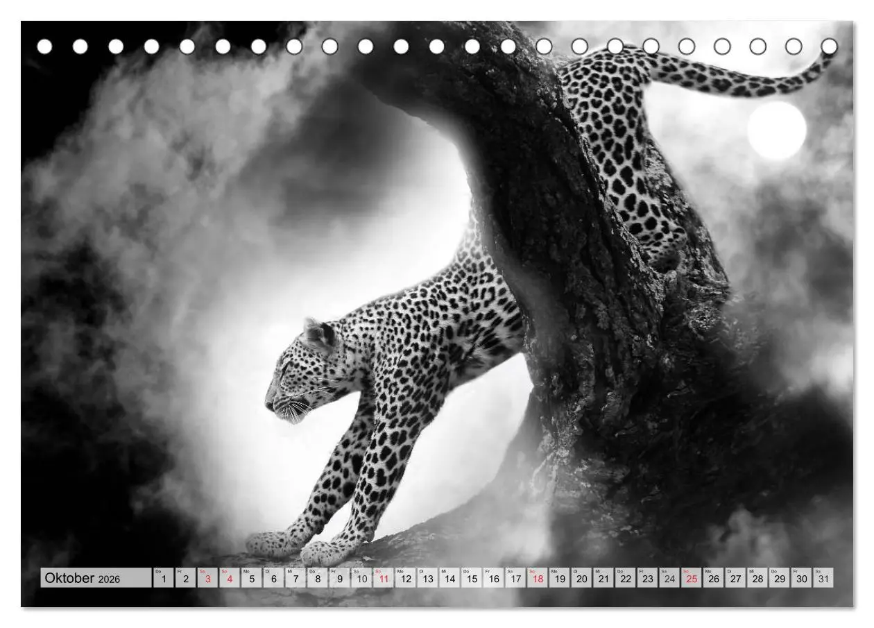 Bild: 9783516051025 | Wilde Tiere in schwarz-weiß (Tischkalender 2026 DIN A5 quer),...