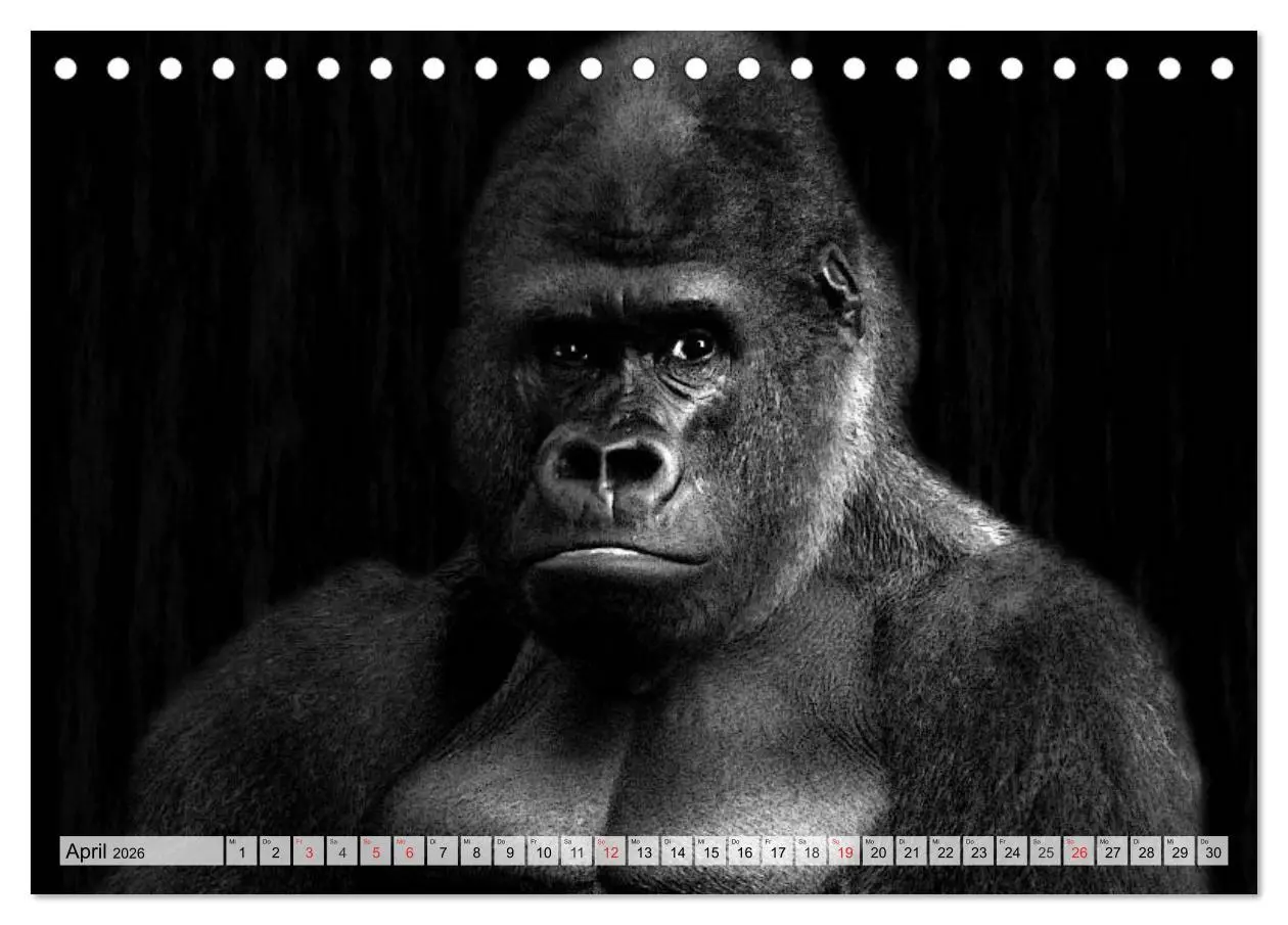 Bild: 9783516051025 | Wilde Tiere in schwarz-weiß (Tischkalender 2026 DIN A5 quer),...