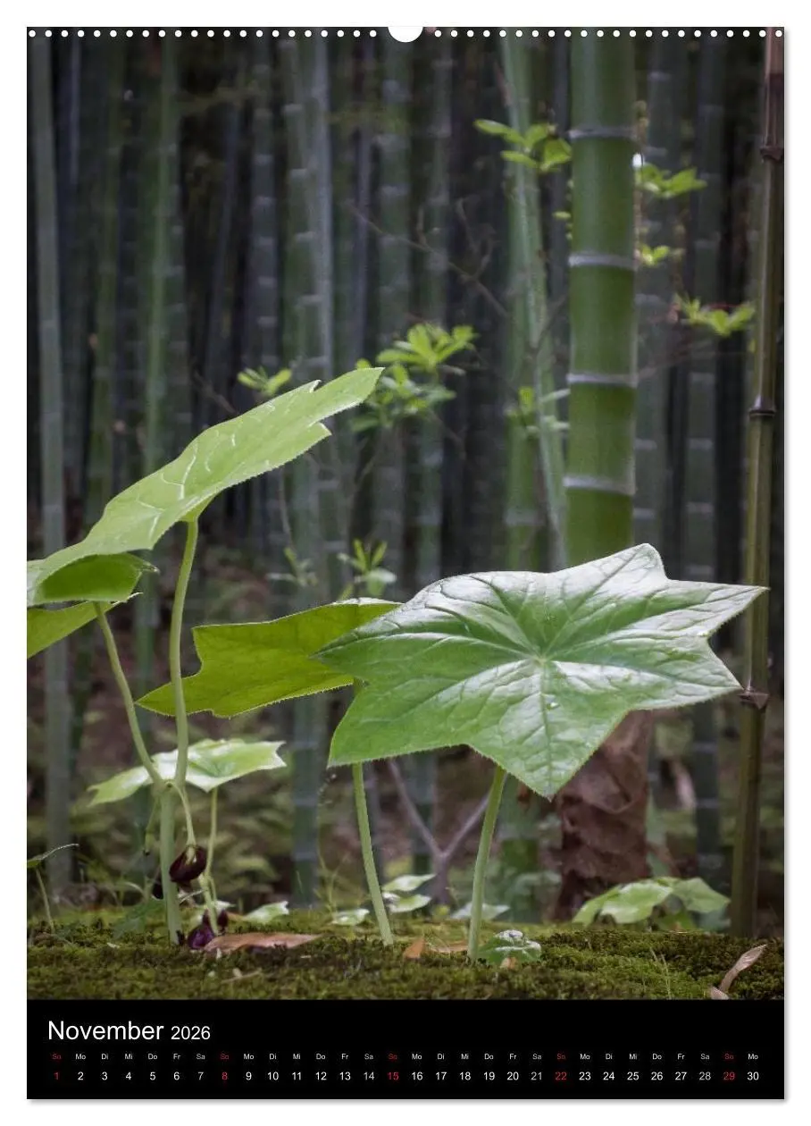 Bild: 9783516431025 | Japan im Blickpunkt (Wandkalender 2026 DIN A2 hoch), CALVENDO...
